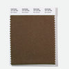 Pantone Polyester Swatch Card 18-1123 TSX Rum Caramel