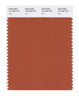 Pantone SMART Color Swatch 18-1248 TCX Rust