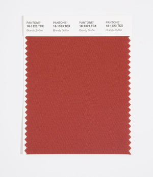 Pantone SMART Color Swatch 18-1323 TCX Brandy Snifter