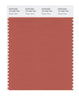 Pantone SMART Color Swatch 18-1535 TCX Ginger Spice
