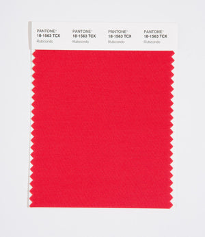 Pantone SMART Color Swatch 18-1563 TCX Rubicondo