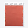 Pantone Polyester Swatch Card 18-1624 TSX Redwood Trail