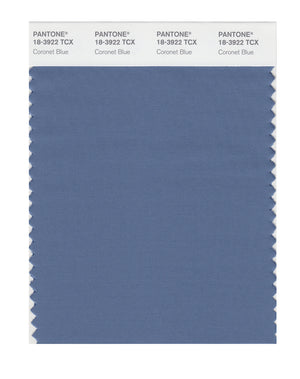 Pantone SMART Color Swatch 18-3922 TCX Coronet Blue