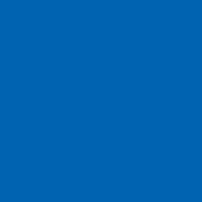 BLUE LADIANT Buy Pantone Nylon Brights Swatch Card 18-4245 TN Electric