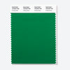 Pantone Polyester Swatch Card 18-6032 TSX Putting Green