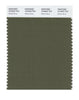 Pantone SMART Color Swatch 18-0523 TCX Winter Moss