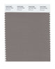 Pantone SMART Color Swatch 18-1210 TCX Driftwood