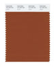 Pantone SMART Color Swatch 18-1246 TCX Umber