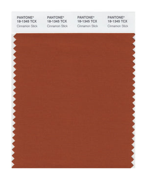 Pantone SMART Color Swatch 18-1345 TCX Cinnamon Stick