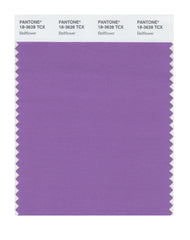 18_3628_Bellflower_medium.jpg?