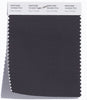Pantone SMART Color Swatch 19-0203 TCX Gray Pinstripe