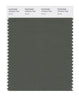 Pantone SMART Color Swatch 19-0312 TCX Beetle