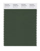 Pantone SMART Color Swatch 19-0315 TCX Black Forest