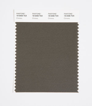 Pantone SMART Color Swatch 19-0406 TCX Chimera