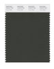 Pantone SMART Color Swatch 19-0414 TCX Forest Night