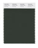 Pantone SMART Color Swatch 19-0415 TCX Duffel Bag