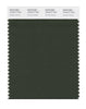 Pantone SMART Color Swatch 19-0417 TCX Kombu Green