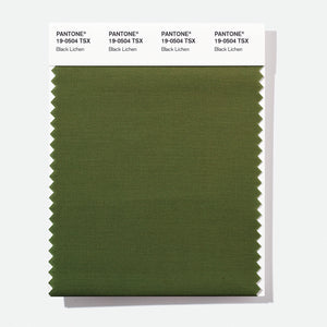 Pantone Polyester Swatch Card 19-0504 TSX Black Lichen