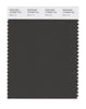 Pantone SMART Color Swatch 19-0506 TCX Black Ink