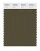 Pantone SMART Color Swatch 19-0516 TCX Dark Olive
