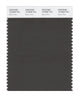 Pantone SMART Color Swatch 19-0608 TCX Black Olive