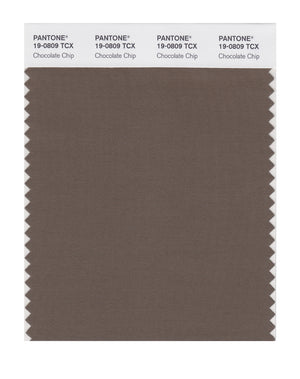 Pantone SMART Color Swatch 19-0809 TCX Chocolate Chip
