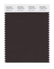 Pantone SMART Color Swatch 19-0915 TCX Coffee Bean