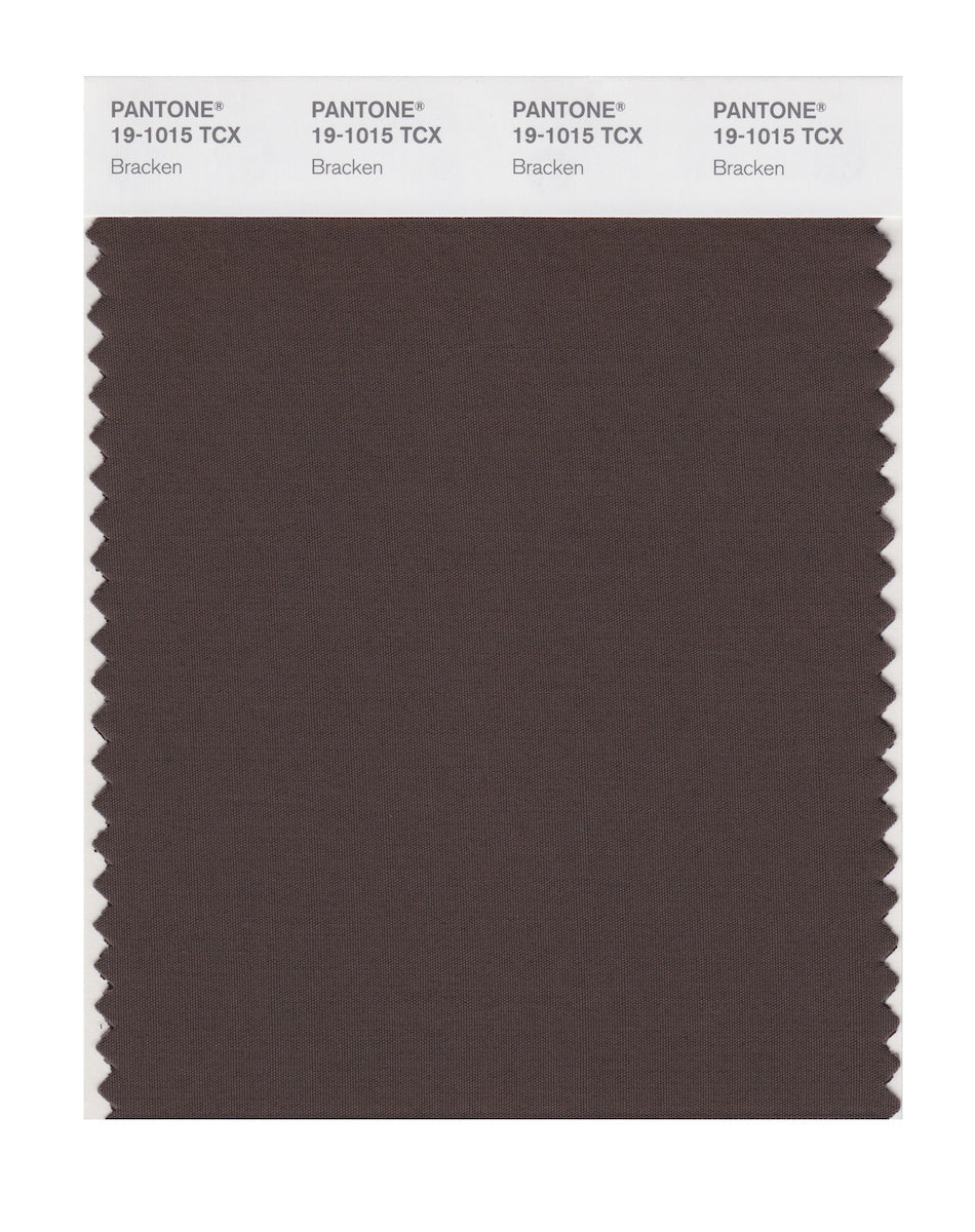 Pantone SMART Color Swatch Card 19-1015 TCX Bracken - Columbia Omni Studio