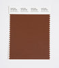 Pantone SMART Color Swatch 19-1223 TCX Downtown Brown