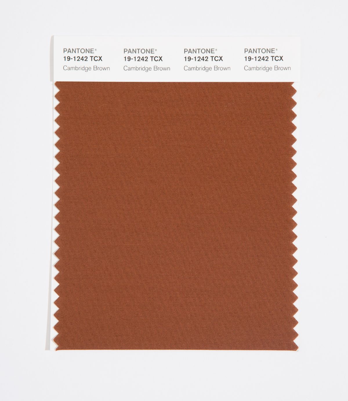 Pantone SMART Color Swatch Card 19-1242 TCX Cambridge Brown - Columbia ...