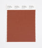 Pantone SMART Color Swatch 19-1428 TCX Brownout