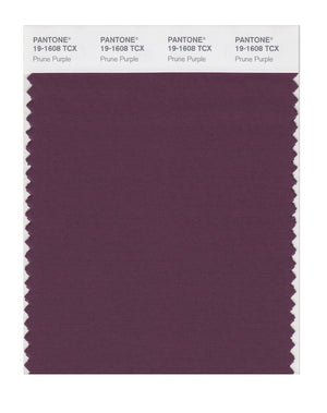 Pantone SMART Color Swatch 19-1608 TCX Prune Purple