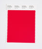 Pantone SMART Color Swatch 19-1756 TCX Urban Red
