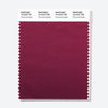 Pantone Polyester Swatch Card 19-2223 TSX Plummed Depths