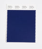 Pantone SMART Color Swatch 19-3942 TCX Beacon Blue