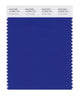 Pantone SMART Color Swatch 19-3952 TCX Surf the Web