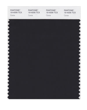 Pantone SMART Color Swatch 19-4006 TCX Caviar