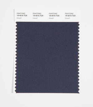 Pantone SMART Color Swatch 19-4016 TCX Inkwell