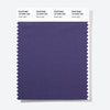 Pantone Polyester Swatch Card 19-4036 TSX Astral night