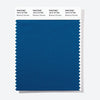 Pantone Polyester Swatch Card 19-4119 TSX Blueberry Pancake