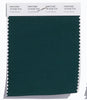 Pantone SMART Color Swatch 19-5230 TCX Forest Biome