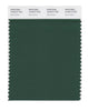 Pantone SMART Color Swatch 19-5513 TCX Dark Green