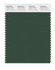 Pantone SMART Color Swatch 19-6311 TCX Greener Pastures