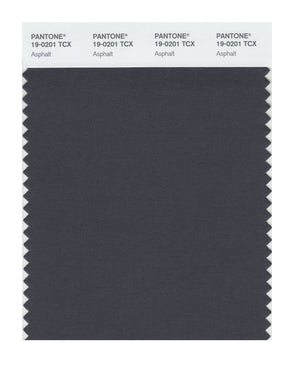 Pantone SMART Color Swatch 19-0201 TCX Asphalt