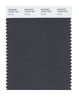 Pantone SMART Color Swatch 19-0201 TCX Asphalt