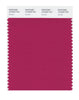 Pantone SMART Color Swatch 19-2039 TCX Granita