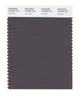 Pantone SMART Color Swatch 19-3900 TCX Pavement
