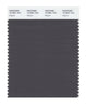 Pantone SMART Color Swatch 19-3901 TCX Magnet
