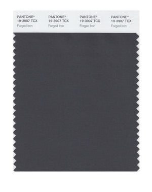 Pantone SMART Color Swatch 19-3907 TCX Forged Iron