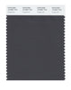 Pantone SMART Color Swatch 19-3907 TCX Forged Iron